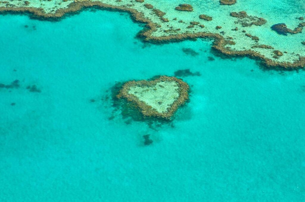 heart, coral, australia-1492445.jpg